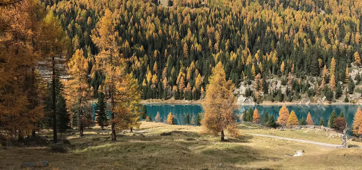 herbst-im-martelltal-see