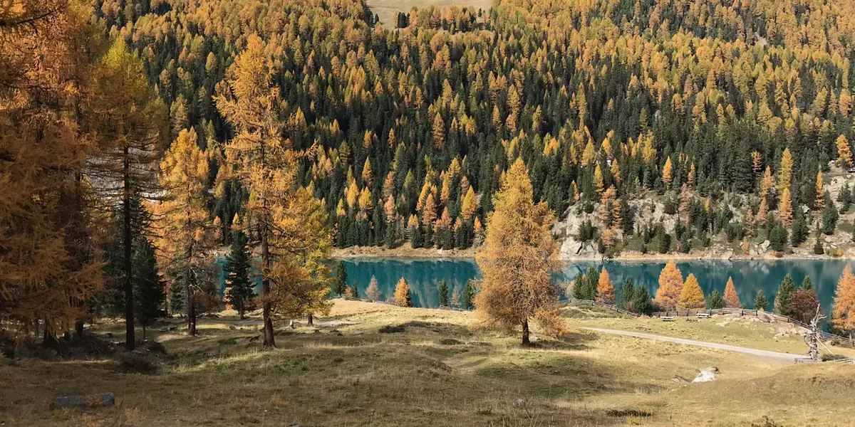 herbst-im-martelltal-see