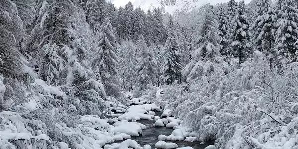 winter-schnee-bach-wald