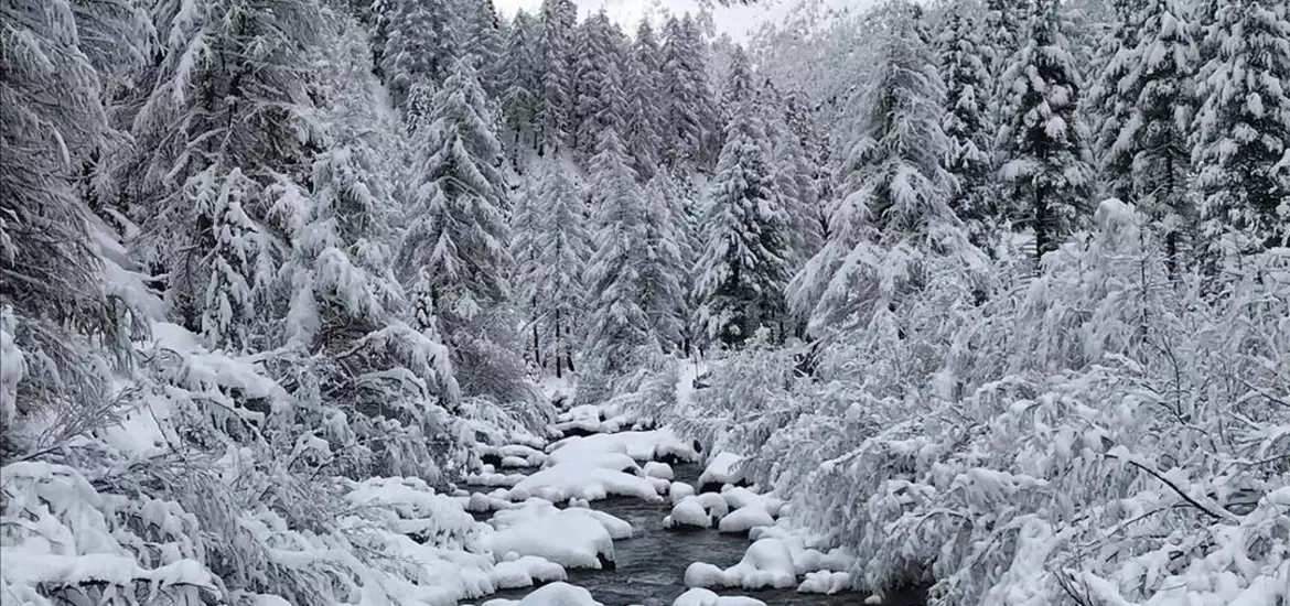 winter-schnee-bach-wald